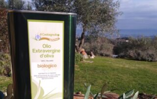 olio extravergine di oliva biologico