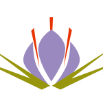 Logo il castagnolino