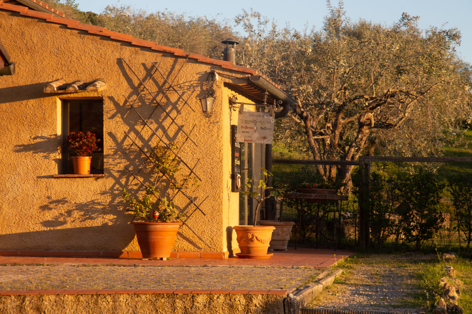Agriturismo il castagnolino Agriturismo il castagnolino