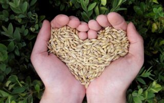 alimentazione Km 0