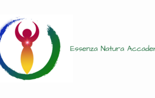 Formazione Olistica
